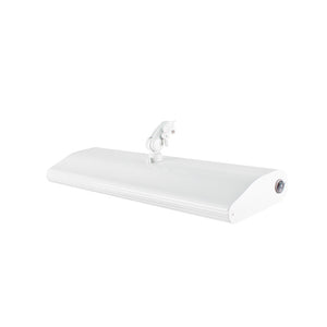 Dazor Fluorescent 30W Desk Base Task Light (33") White